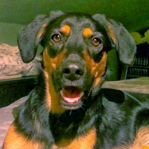 Meet your Posher, Brenda - Picture 1 of 1